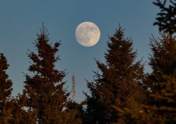 Luna Nouă din 11 februarie