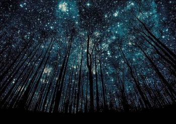 Horoscop pentru saptamana